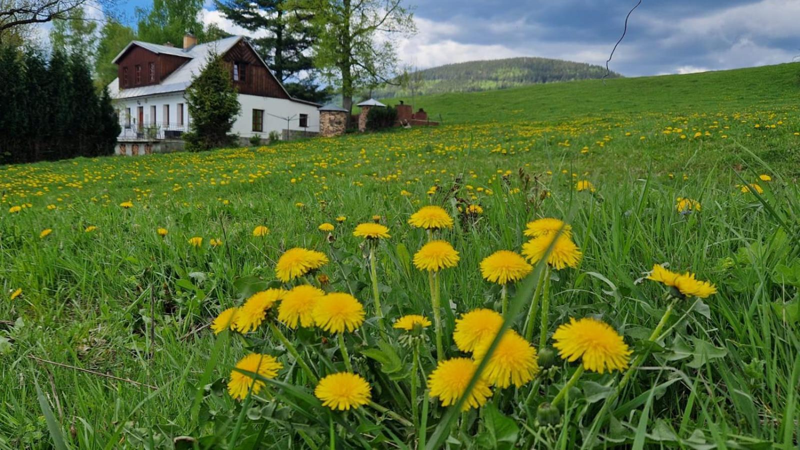 Kněžice 25, chalupa v Krkonoších Vrchlabí Exteriér fotografie
