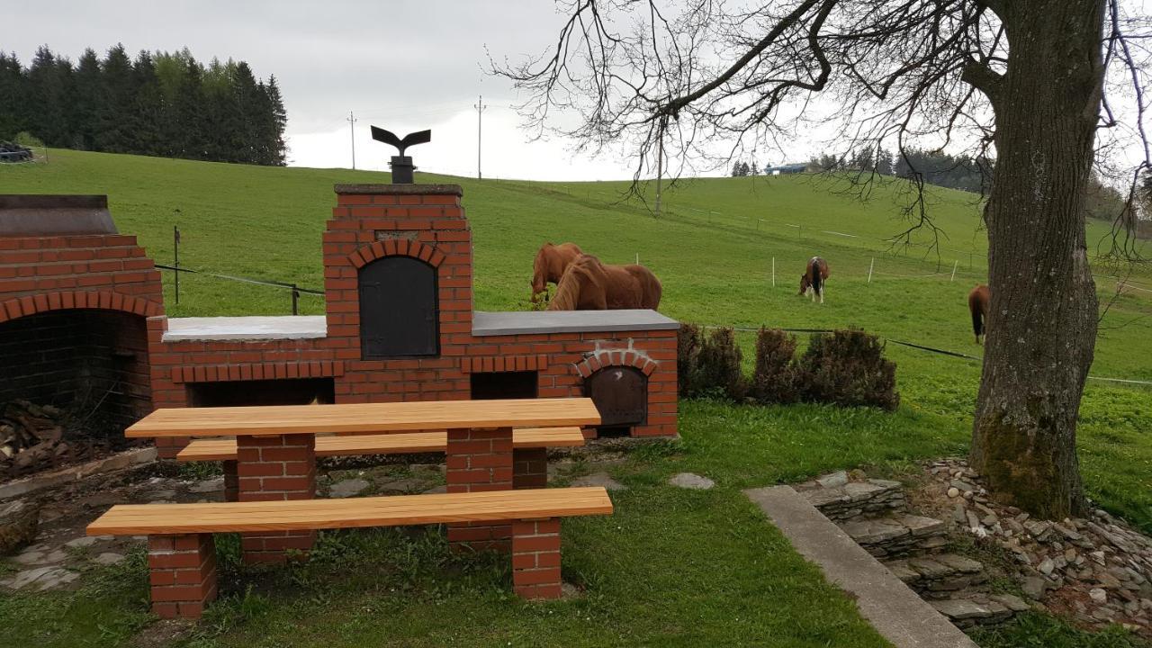 Kněžice 25, chalupa v Krkonoších Vrchlabí Exteriér fotografie